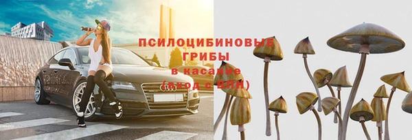 бутират Арсеньев