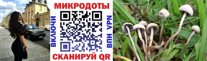 маркетплейс как зайти  Малгобек  Галлюциногенные грибы GOLDEN TEACHER 
